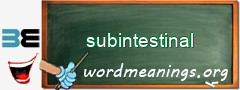 WordMeaning blackboard for subintestinal